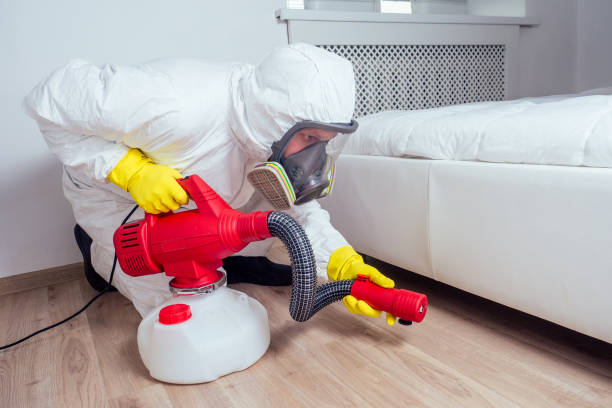 Trusted East Glenville, NY Pest Control Experts