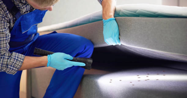 Best Pest Prevention Services  in East Glenville, NY