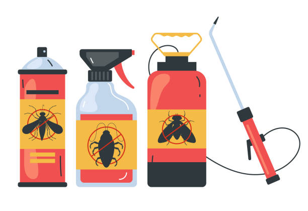 Best Affordable Pest Control Services  in East Glenville, NY